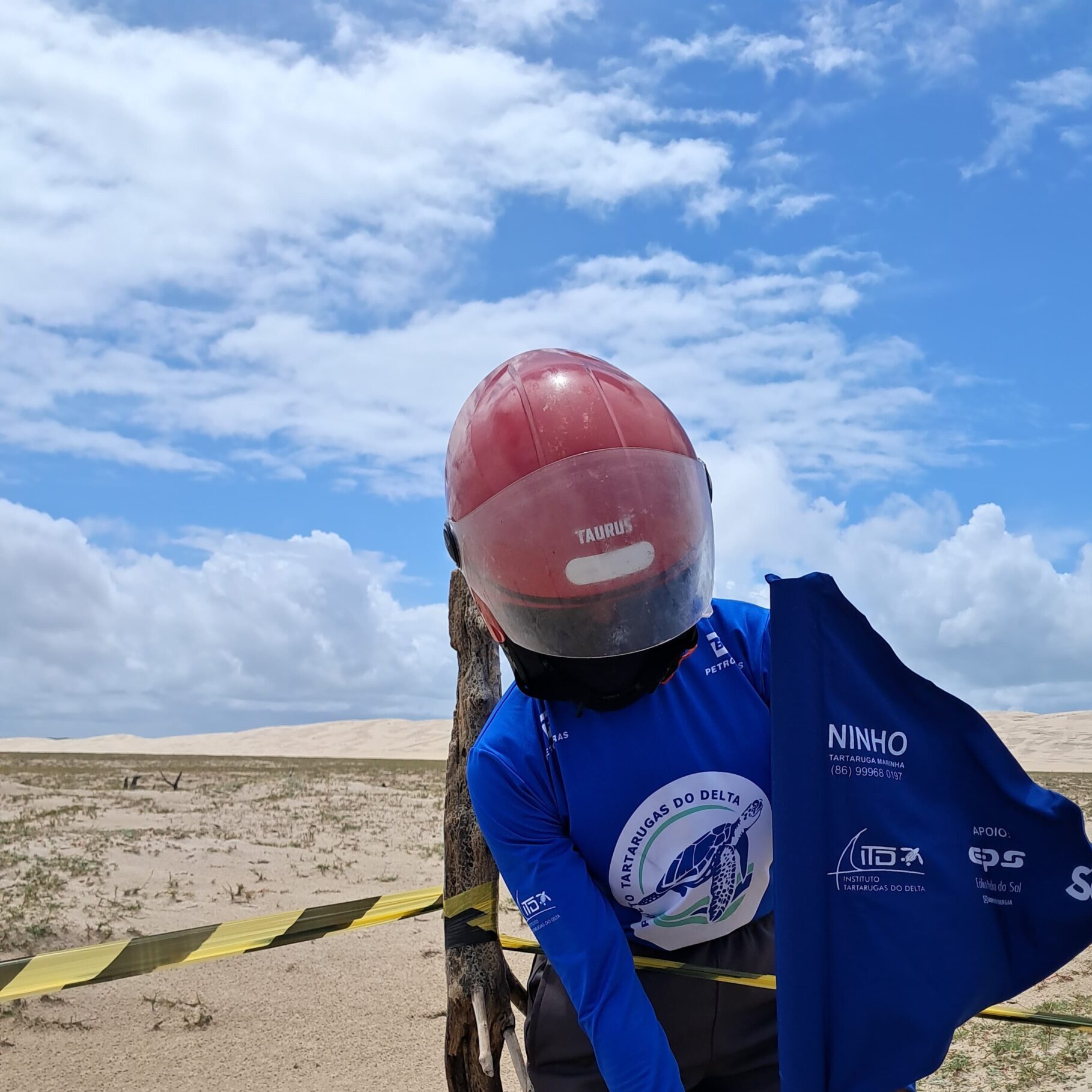 Primeiros ninhos registrados pelo ITD em Tutóia/MA