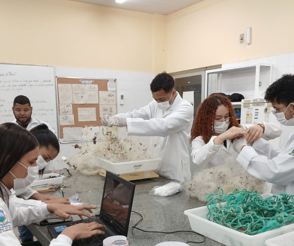 Projeto Tartarugas do Delta inicia ações para mitigação da pesca fantasma em Tutóia (MA)