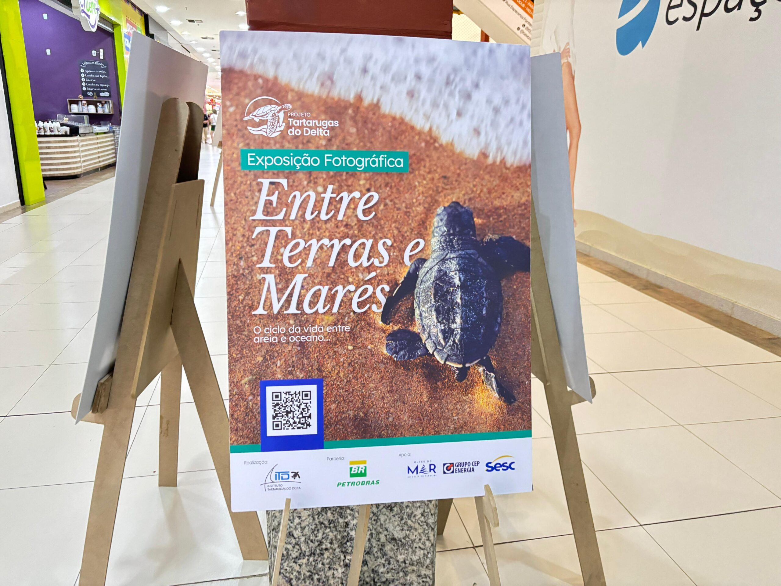Projeto Tartarugas do Delta leva a beleza e a importância da conservação marinha ao Parnaíba Shopping com a exposição “Entre Terras e Marés”