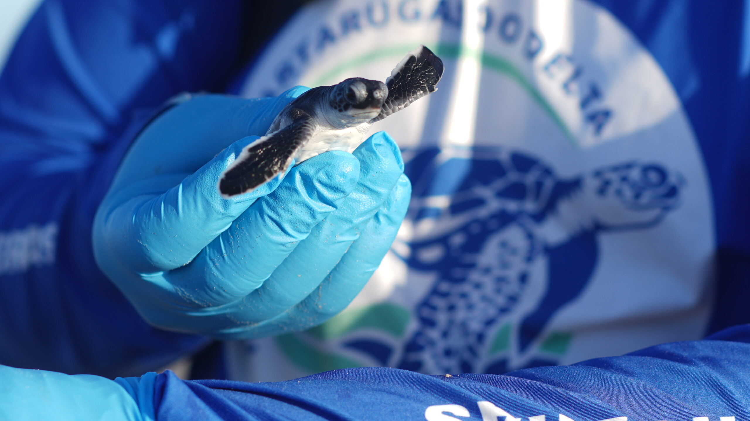 28 de agosto: uma data para celebrar e proteger a biodiversidade do Delta do Parnaíba